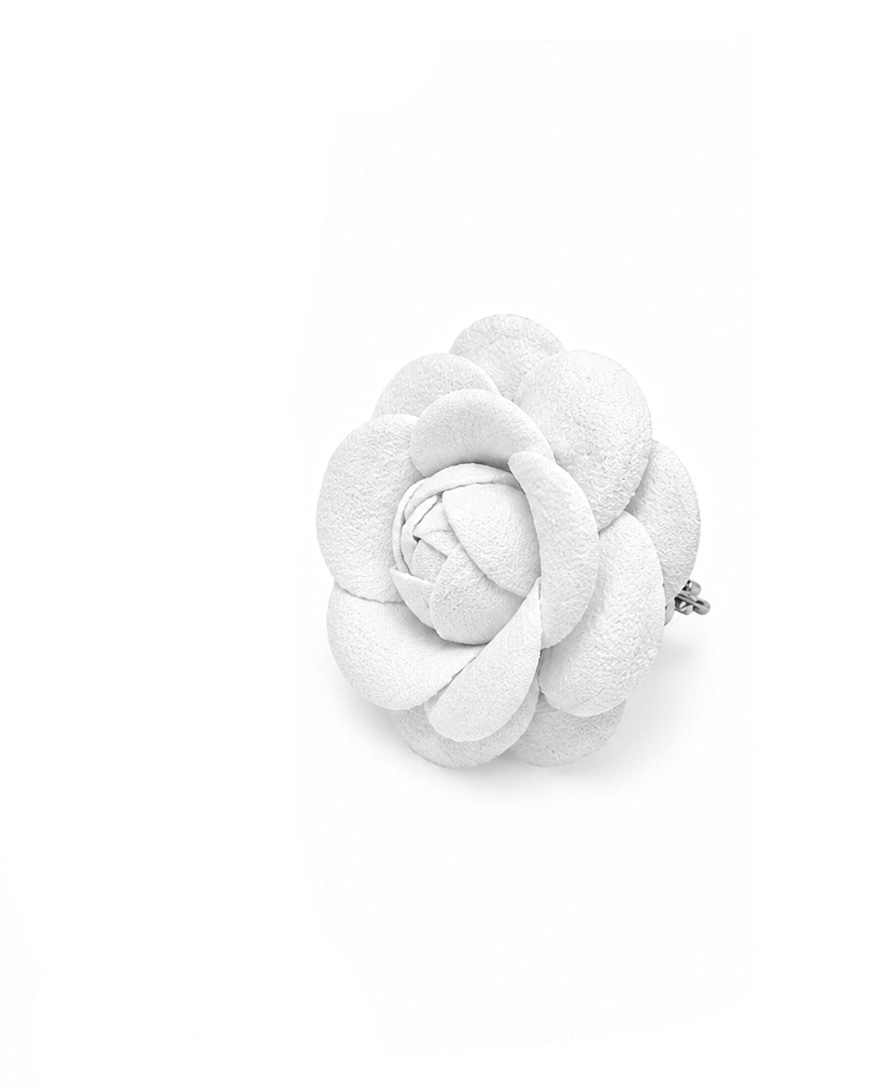 CF30C125-A7vB4-4A65-B09E-EA40DC25B5E0 copy